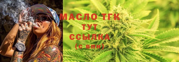 дживик Верхний Тагил