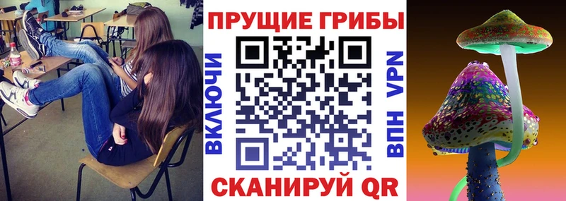 OMG ссылка  Разумное  Галлюциногенные грибы мицелий 